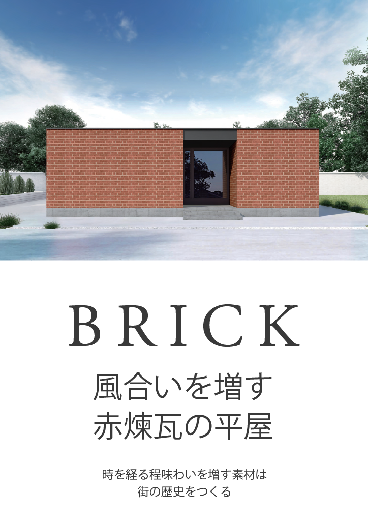 BRICK-h1.png
