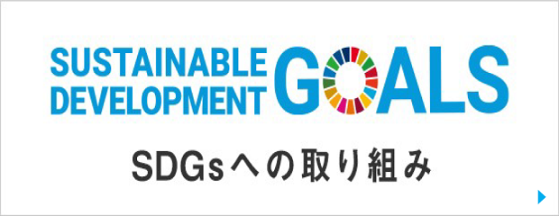 SDGs